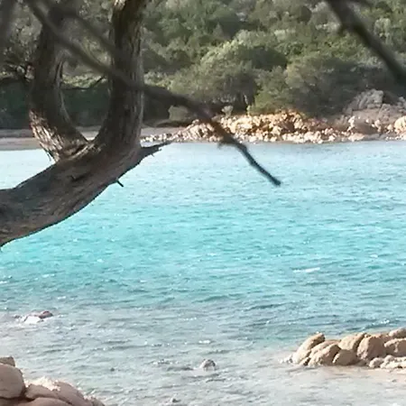 Sum. Cala Di Falco * Cannigione